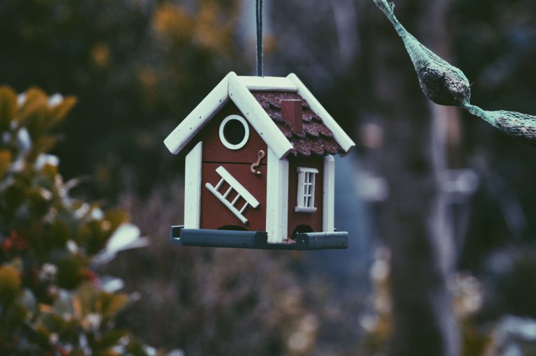 Real estate agency